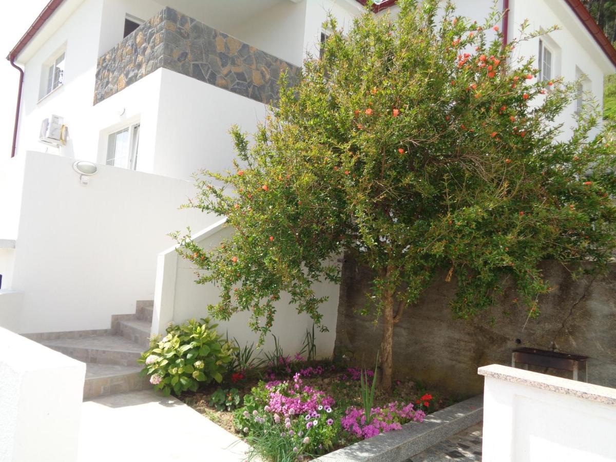 Apartments Marina Лопар Екстериор снимка